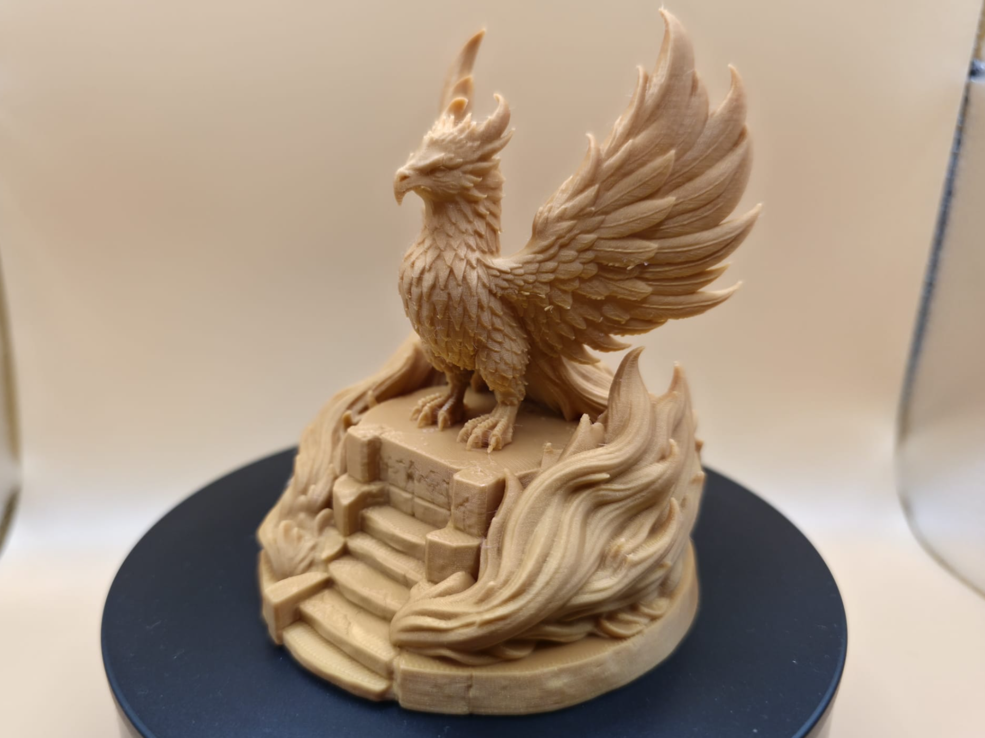 Ascended Phoenix – Rebirth of Light