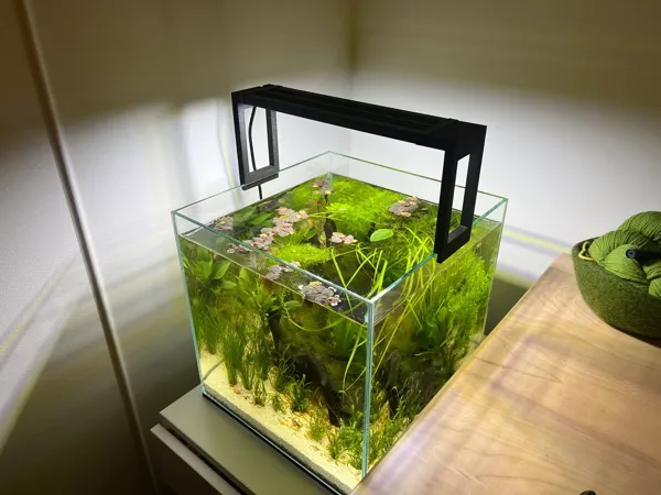 https://makerworld.bblmw.com/makerworld/model/USc7410295e0a3ec/design/2024-04-28_a022a279b3293.webp