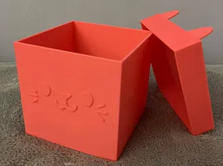 Cat box package Gabby