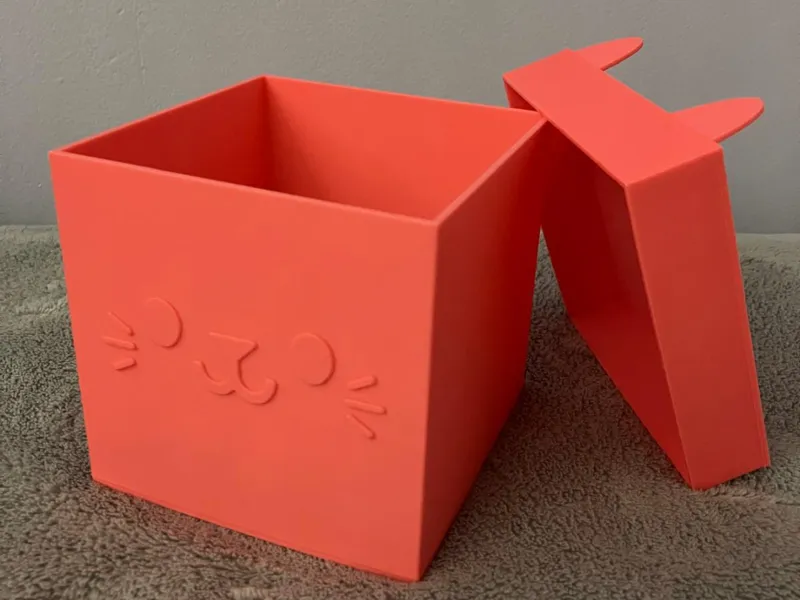 Cat box package Gabby