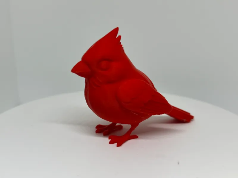 Cardinal Standing (Detailed Bird)