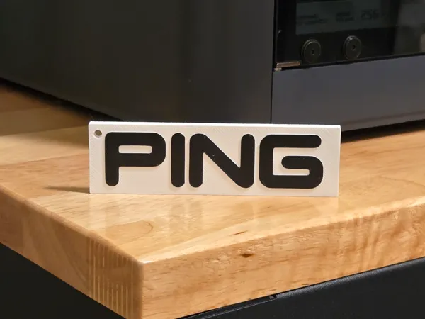 https://makerworld.bblmw.com/makerworld/model/USc755a23f9e7425/design/2025-02-17_0af85ed7bc712.jpg