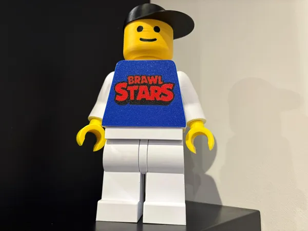 https://makerworld.bblmw.com/makerworld/model/USc7563820785c32/design/45d40a80a3e24437.jpeg