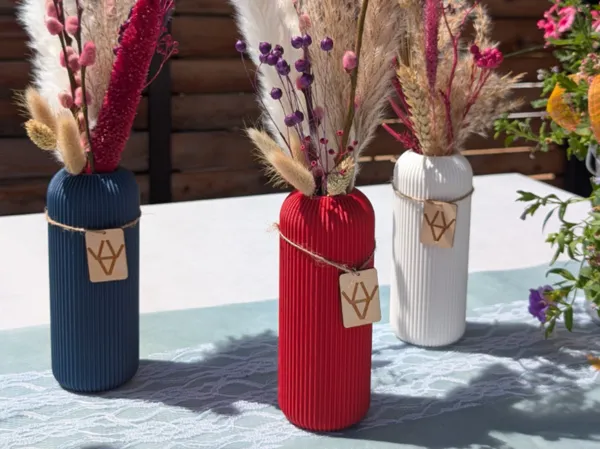 https://makerworld.bblmw.com/makerworld/model/USc75bbbee151f35/design/2025-07-29_2f7125de592538.jpg