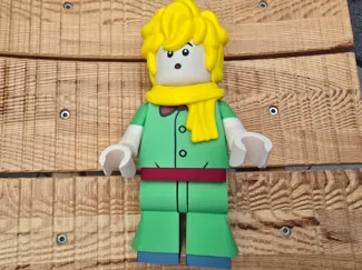 Brickman Saint Exupéry Petit Prince