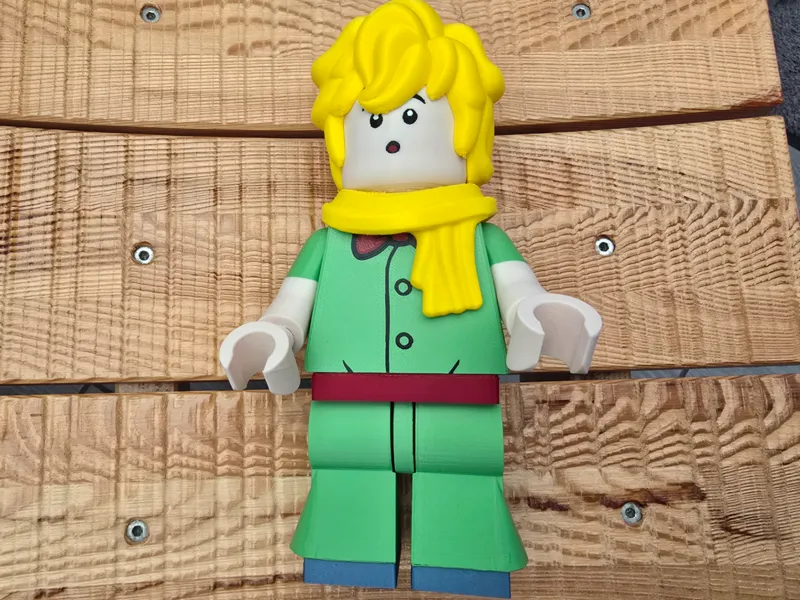 Brickman Saint Exupéry Petit Prince
