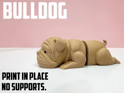 Mini Flexi Bulldog