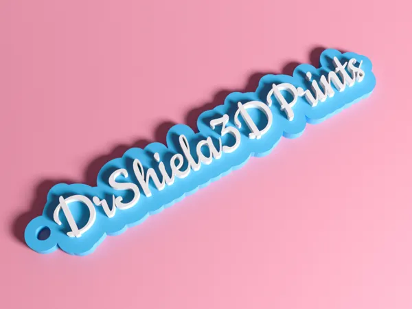 https://makerworld.bblmw.com/makerworld/model/USc75cb3c5e2d98d/design/2025-11-24_a60a87ad38ad.png