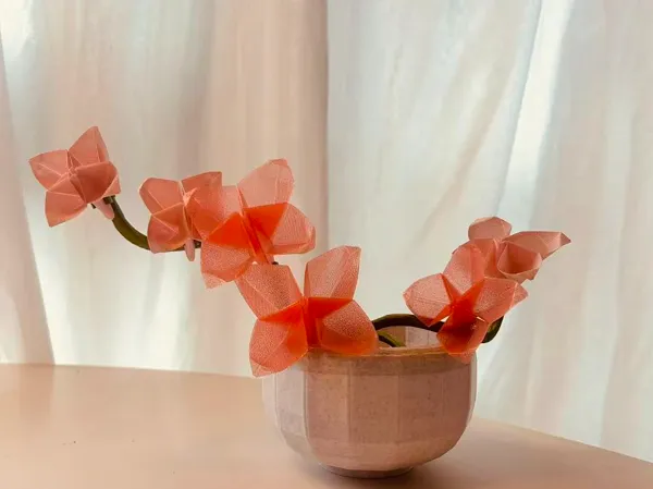 https://makerworld.bblmw.com/makerworld/model/USc75e3195b8fb0/design/ac9231cd5440b01c.jpg