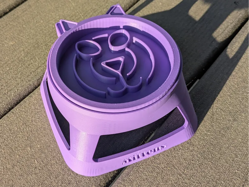Raised Slow Feeder Cat Bowl
