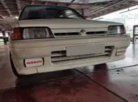 PETG Nissan logo