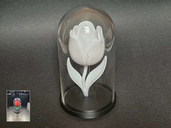 https://makerworld.bblmw.com/makerworld/model/USc7635aac92dbed/design/2025-05-19_fbb60f82843c2.jpg