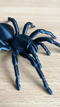 Medium tarantula