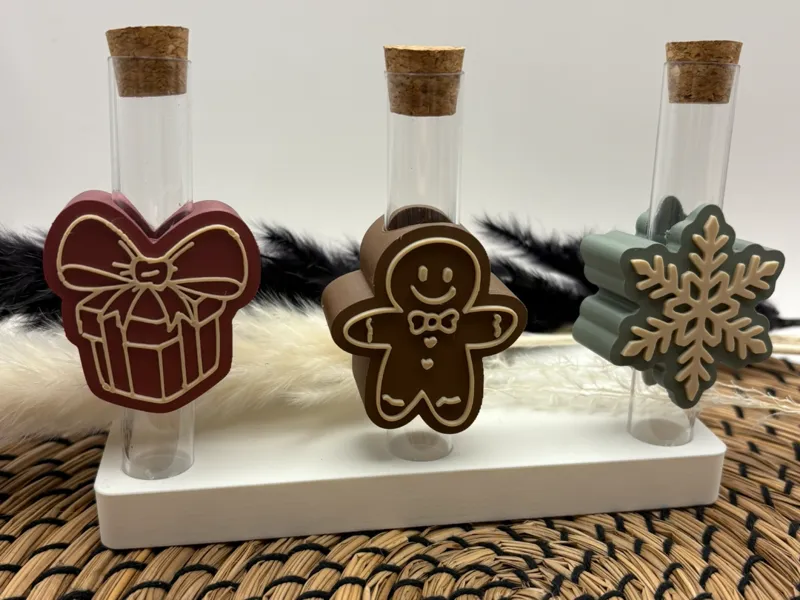 Weihnachtlicher Reagenzglas-Halter – Geldgeschenke