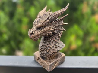 STORM DRAGON BUST