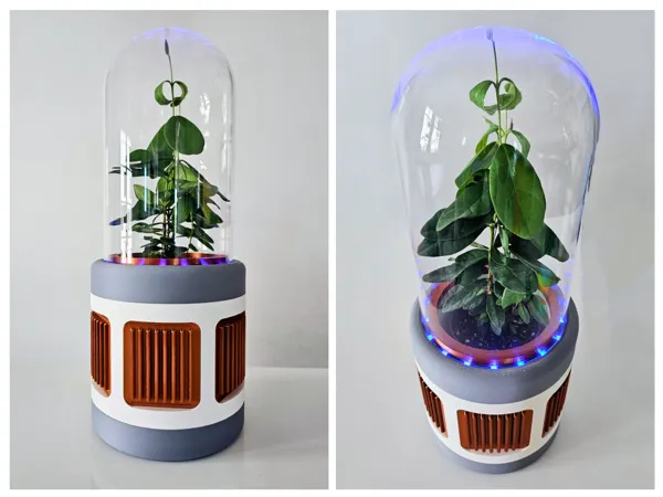 https://makerworld.bblmw.com/makerworld/model/USc76870d87a81d9/design/2024-04-01_36f0006322526.jpg