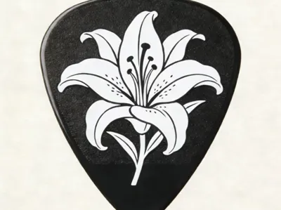 Guitar Picks