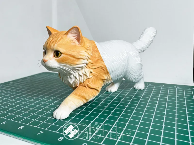 漫步小猫