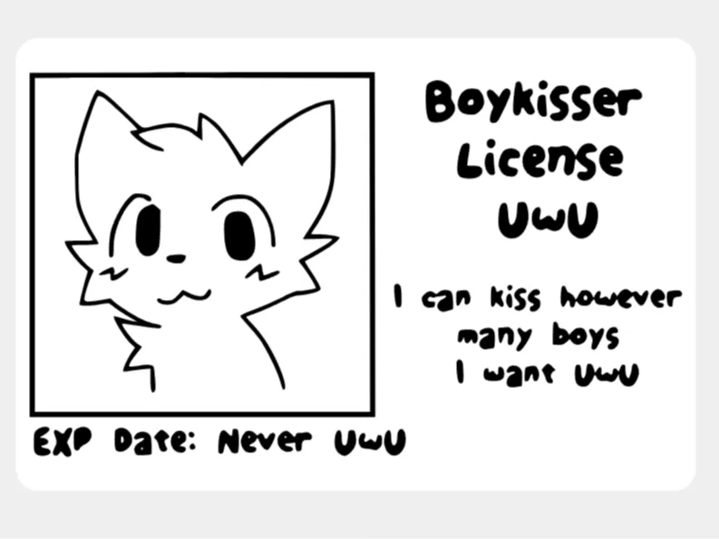 Boykisser License