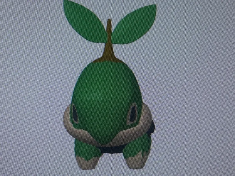 Turtwig pokemon