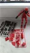 Lady 13 skelet