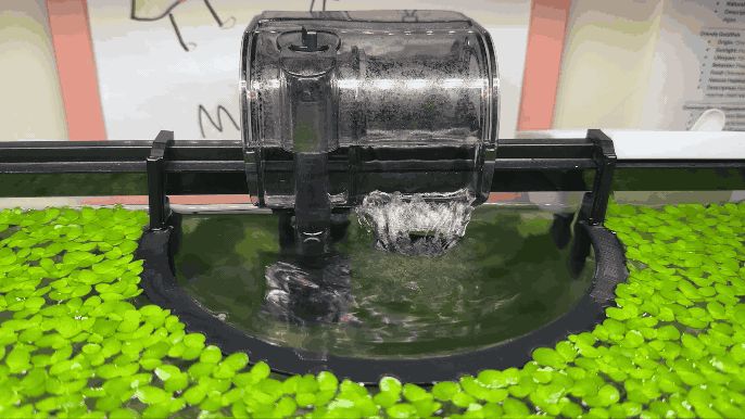 aquarium plant ring