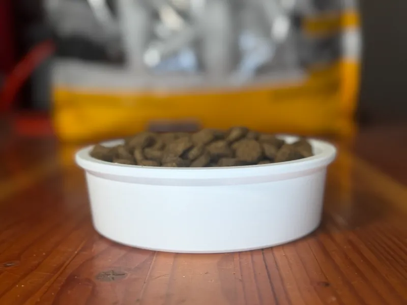 Pet Bowl 2 Cups