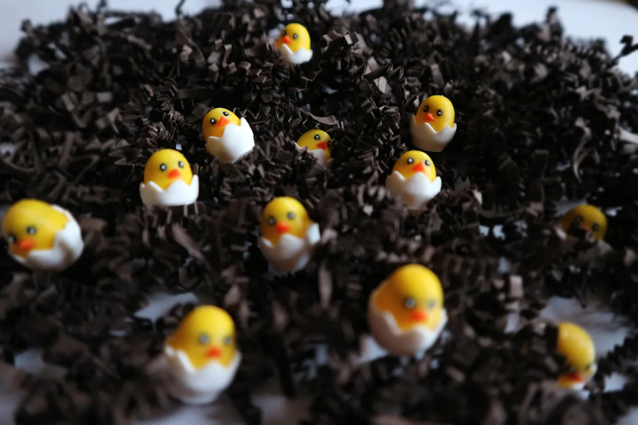 Cute tiny hatching eggssss view 2