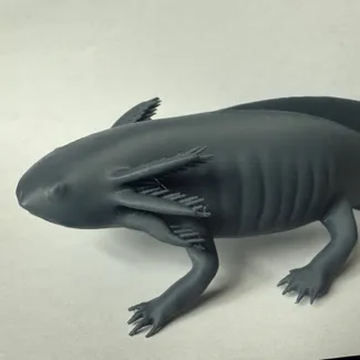 Axolotl by Marcel H.
