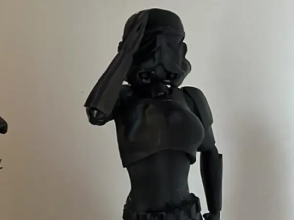 https://makerworld.bblmw.com/makerworld/model/USc78d15eb827f8f/design/2025-08-30_17569bfd9b3c4.jpg