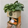 Large Size