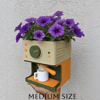 Medium Size