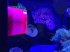 0.2mm layer, 3 walls, 15% infill