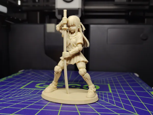 https://makerworld.bblmw.com/makerworld/model/USc78fa19618195d/design/bd3863c83208b858.jpg