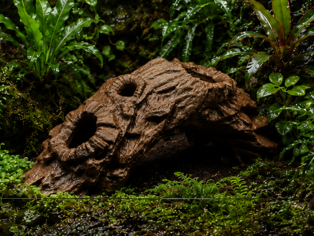 Natural Root Hide with Holes -Terrarium & Aquarium