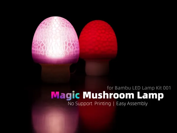https://makerworld.bblmw.com/makerworld/model/USc79548f015701a/design/2024-03-02_ec1bd4427c5bd.png