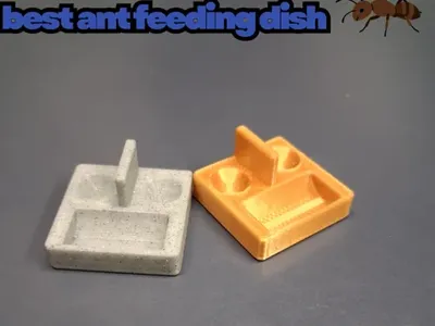 Best ant feeding dish