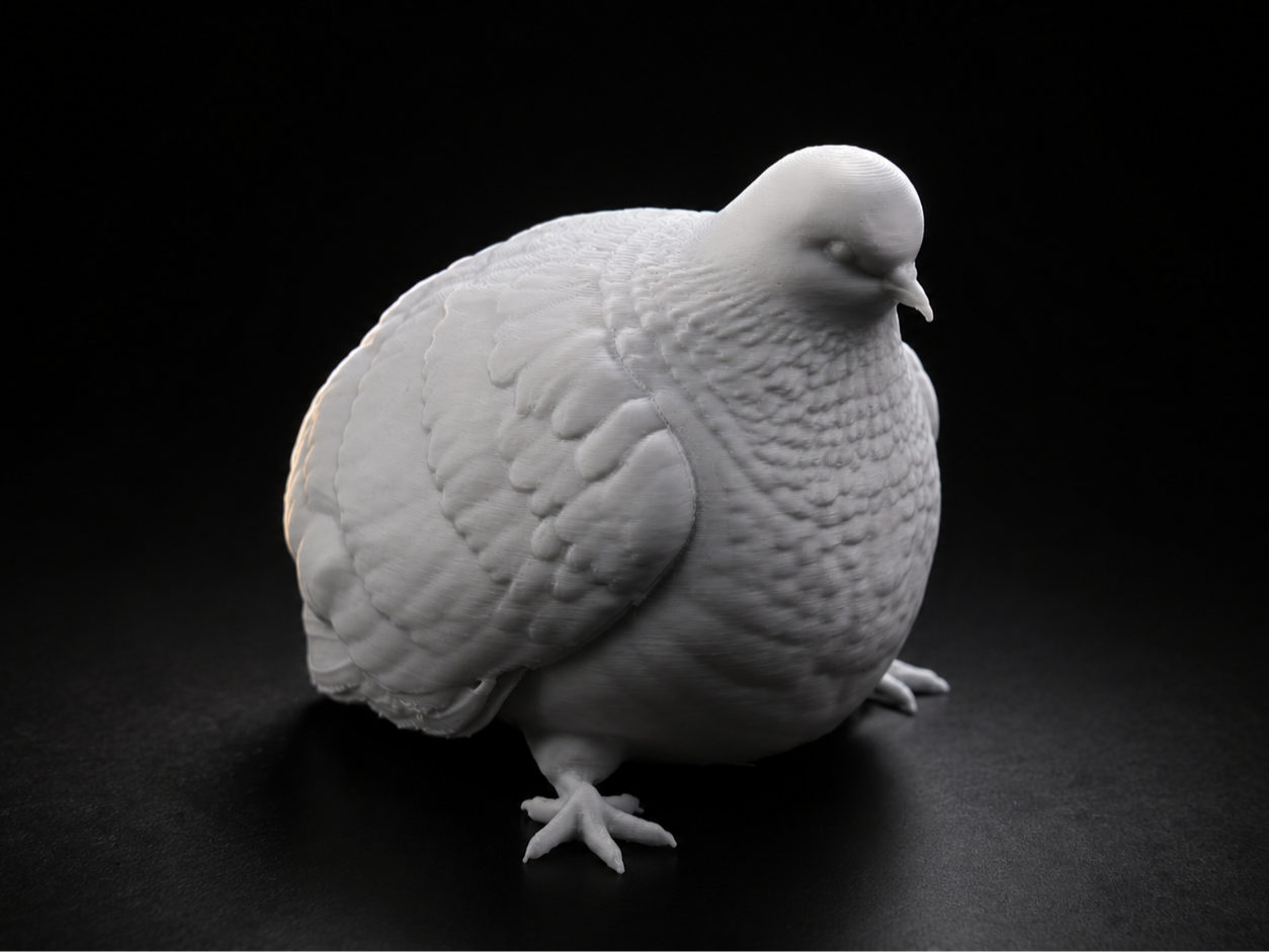 Just a Fat Pigeon