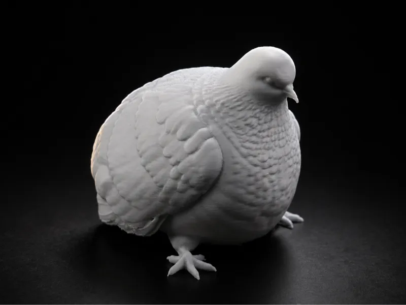 Just a Fat Pigeon