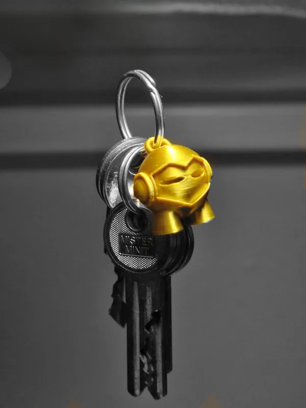 https://makerworld.bblmw.com/makerworld/model/USc7a1fef38f78f/design/2024-02-15_fb951e711d1bb.png