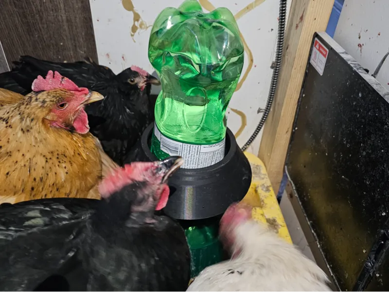 Chicken / Pet Waterer for 130-175mm bowl