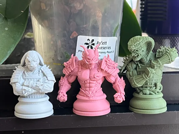 https://makerworld.bblmw.com/makerworld/model/USc7ab2229308683/design/2025-12-05_929132f09fd238.jpg