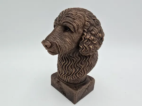 https://makerworld.bblmw.com/makerworld/model/USc7aee04accdf0/design/2025-05-24_0e90d1ac36bf1.jpg