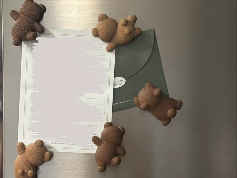 bear magnet, interior magnet