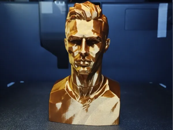 https://makerworld.bblmw.com/makerworld/model/USc7b6524efce613/design/46cf261d2eb28f0a.jpg