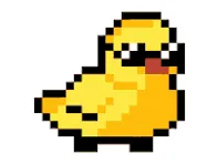 duck picture
