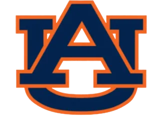 Auburn earrings