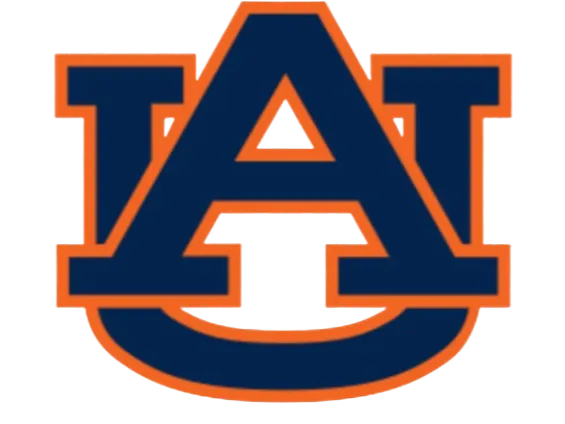 Auburn earrings