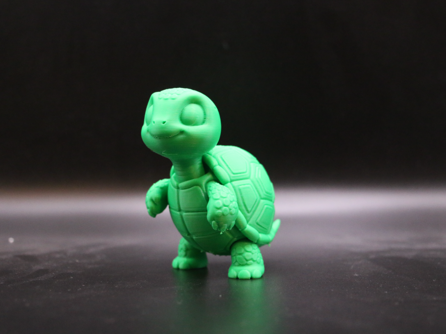 Cute Cartoon Turtle