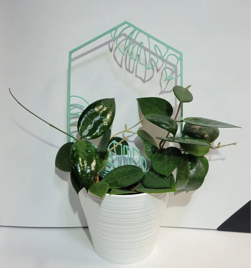 Monstera Leaf Mini Plant Trellis